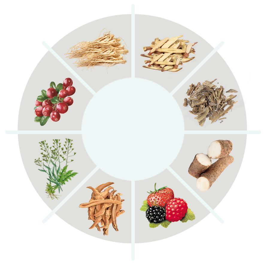 Tonic Greens ingredient circle